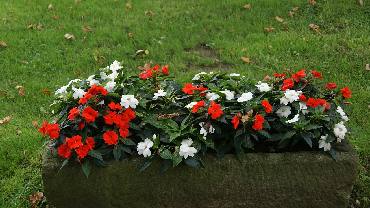 Creating DIY Flower Boxes for Your Window Sills